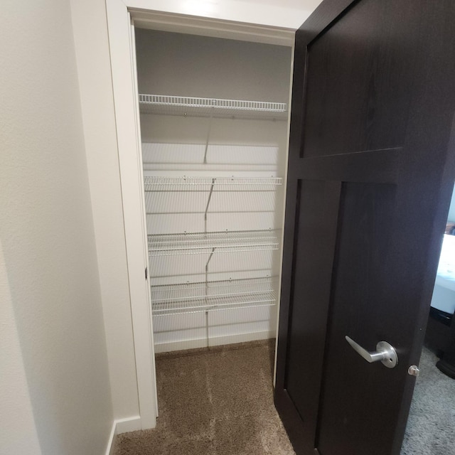 2238 Rolling Green Trl, North Mankato, MN 56003 - view of closet