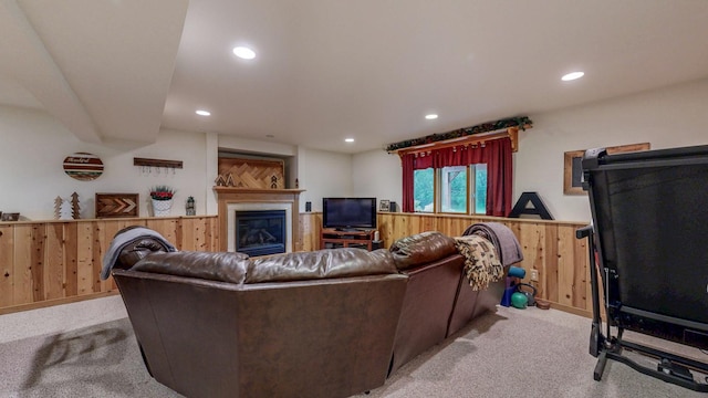 1057 John And Mary Dr SE, Chatfield, MN 55923 - living area featuring carpet floors, wooden walls, a fireplace, recessed lighting, and wainscoting