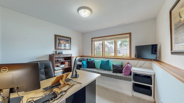 1057 John And Mary Dr SE, Chatfield, MN 55923 - home office featuring carpet flooring