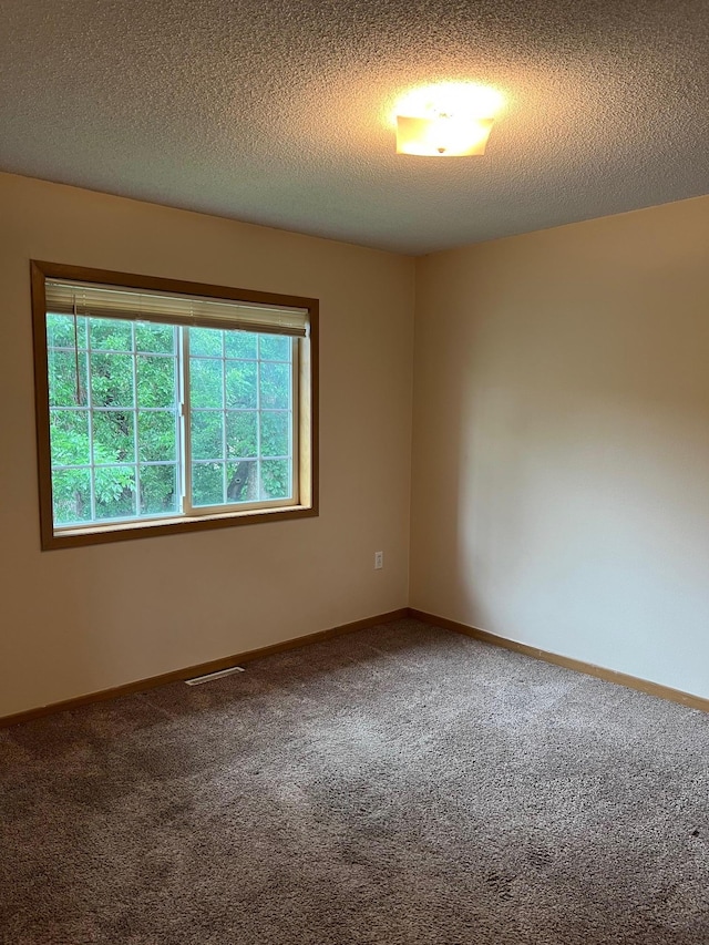 444 Terrace View Dr, Litchfield, MN 55355 - empty room with carpet floors and a textured ceiling