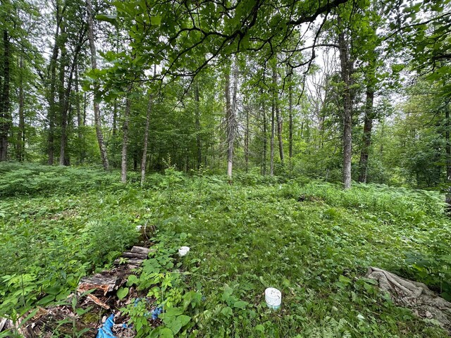 20700 Pine River Cir, Finlayson, MN 55735 - photo 21