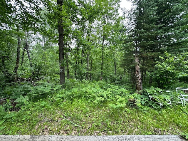 20700 Pine River Cir, Finlayson, MN 55735 - photo 22