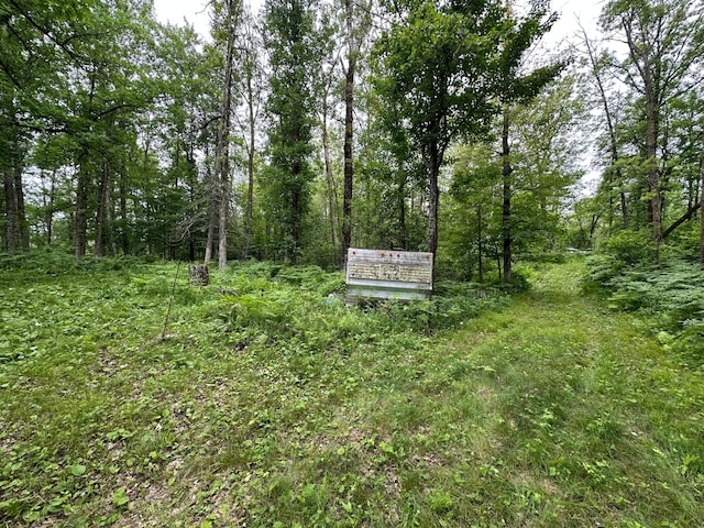 20700 Pine River Cir, Finlayson, MN 55735 - photo 23