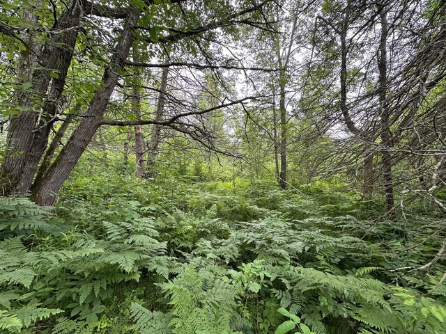 20700 Pine River Cir, Finlayson, MN 55735 - photo 24