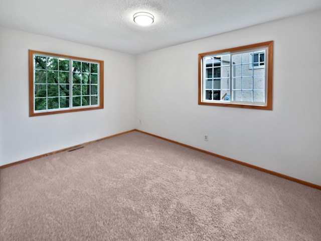 13505 63rd Ave N, Maple Grove, MN 55311 - photo 5
