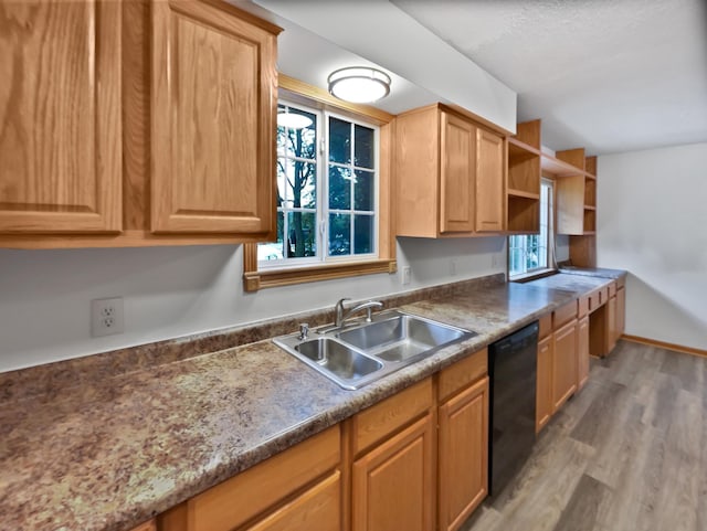 13505 63rd Ave N, Maple Grove, MN 55311 - photo 13