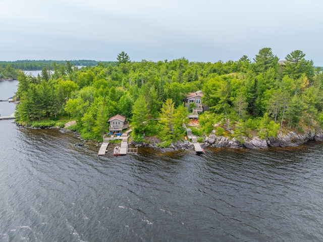 2507 Susans Is, International Falls, MN 56649 - view from above of property featuring a large body of water