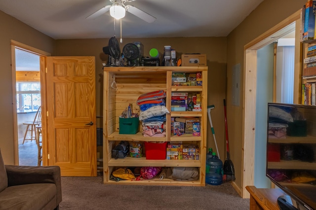 2507 Susans Is, International Falls, MN 56649 - bedroom with carpet and electric panel
