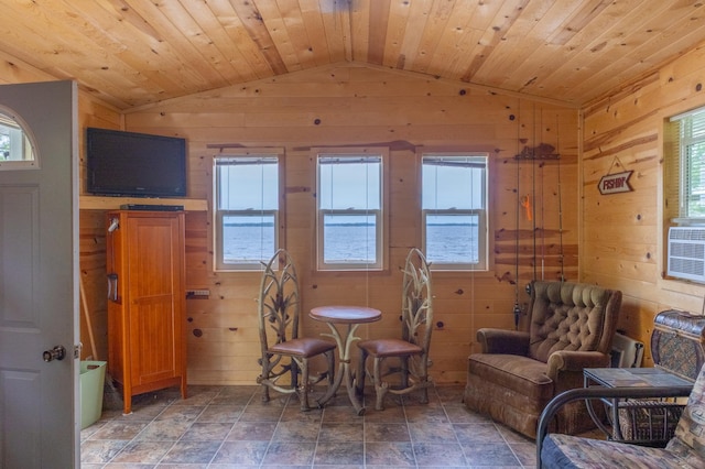 2507 Susans Is, International Falls, MN 56649 - living area featuring vaulted ceiling, wooden walls, plenty of natural light, and stone finish floors