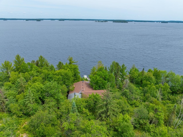 2507 Susans Is, International Falls, MN 56649 - view of subject property featuring a large body of water