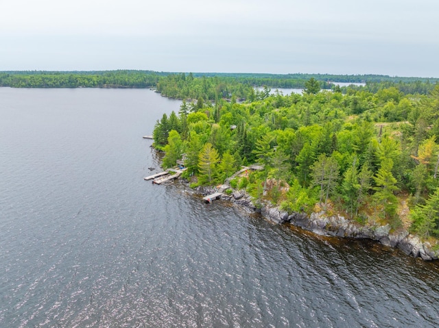 2507 Susans Is, International Falls, MN 56649 - drone / aerial view of a nearby body of water