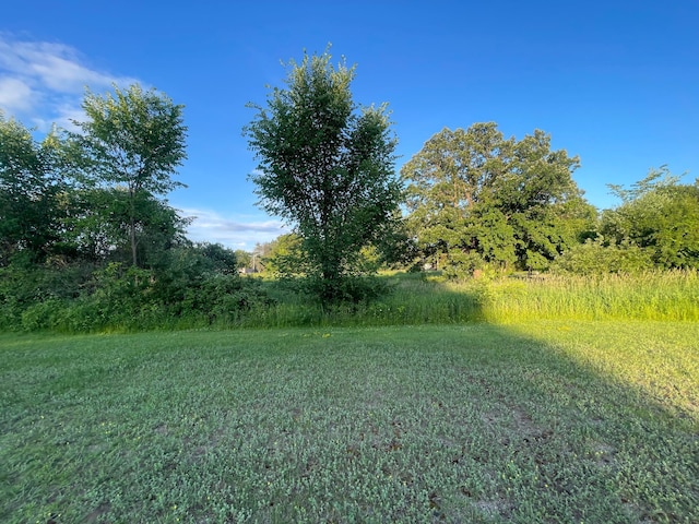 900 6th Ave NE, Little Falls, MN 56345 - photo 1