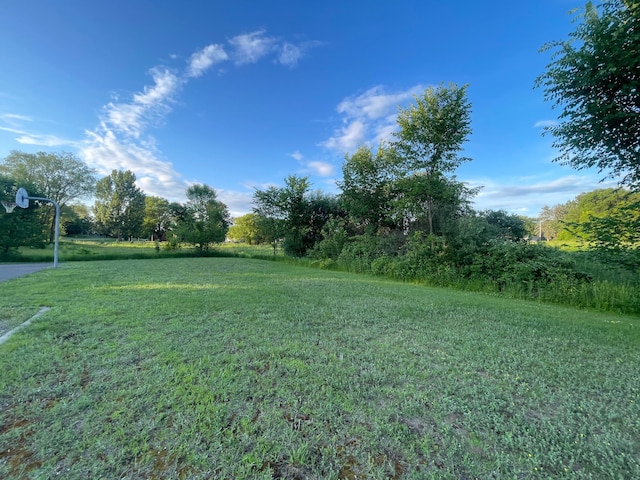 900 6th Ave NE, Little Falls, MN 56345 - photo 2