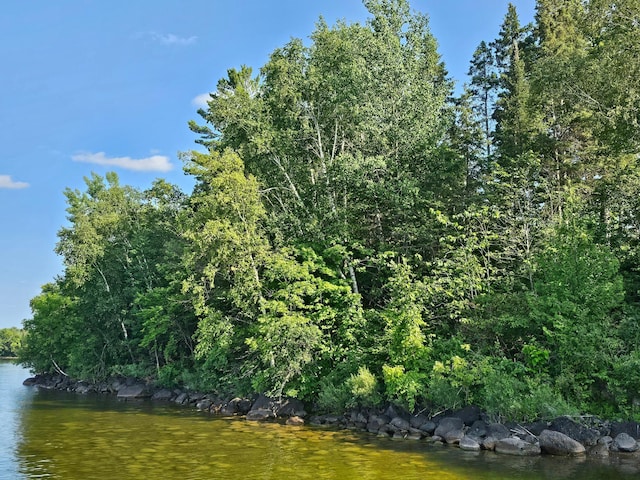 500 Bufflehead Ln NW, Walker, MN 56484 - photo 1