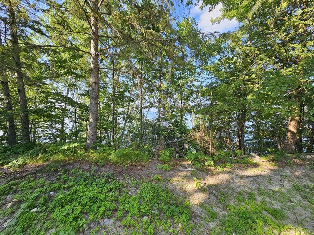 500 Bufflehead Ln NW, Walker, MN 56484 - photo 2