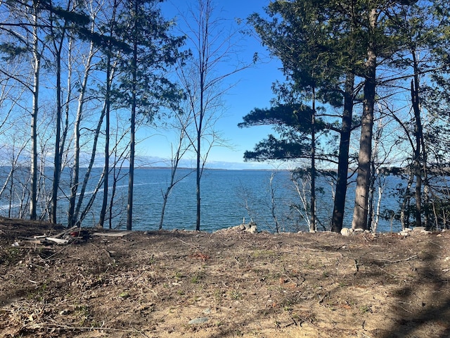 500 Bufflehead Ln NW, Walker, MN 56484 - photo 5