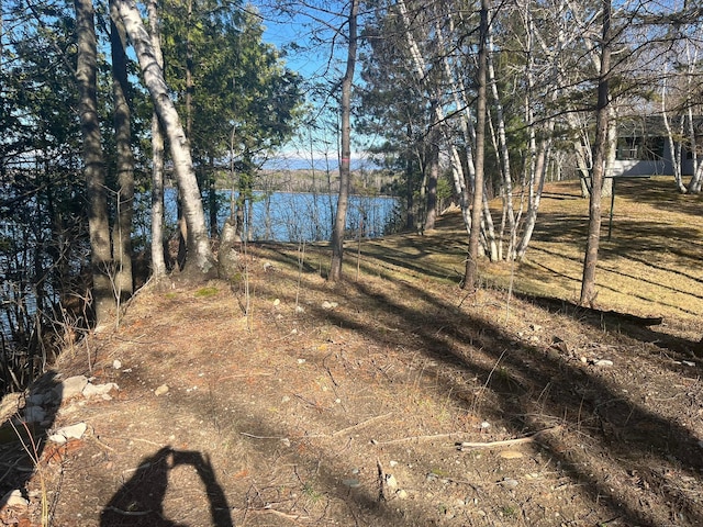 500 Bufflehead Ln NW, Walker, MN 56484 - photo 13