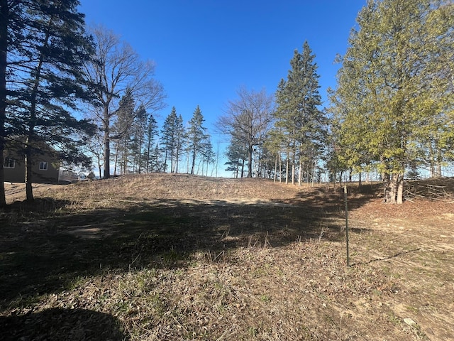 500 Bufflehead Ln NW, Walker, MN 56484 - photo 16