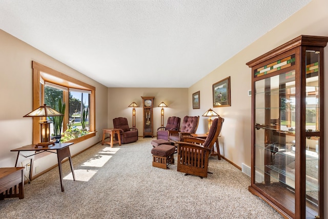 655 48th Ave, Goodview, MN 55987 - living area featuring carpet flooring and a textured ceiling