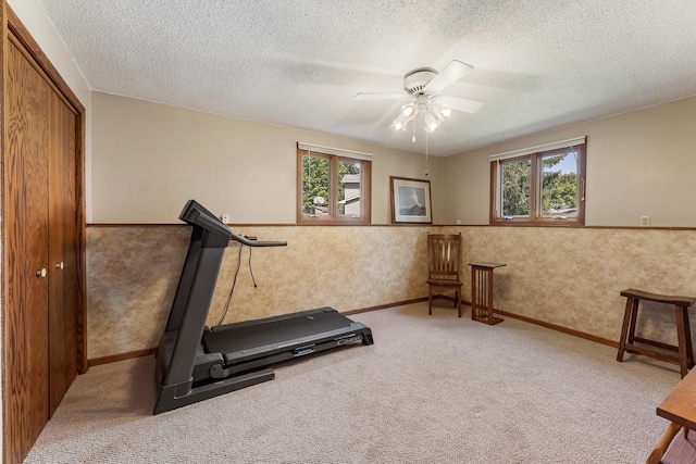 655 48th Ave, Goodview, MN 55987 - workout room featuring wainscoting, healthy amount of natural light, ceiling fan, carpet flooring, and a textured ceiling