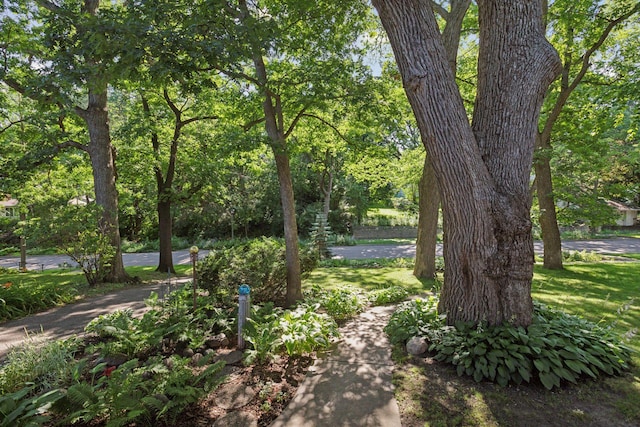 1323 Keston St, Saint Paul, MN 55108 - view of yard