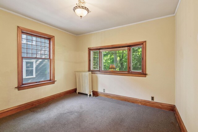 1323 Keston St, Saint Paul, MN 55108 - carpeted empty room featuring radiator, plenty of natural light, and crown molding