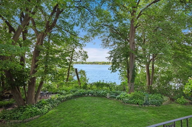 14034 Old Holt Ct, Chisago Lake Twp, MN 55045 - photo 3