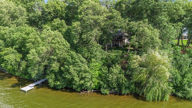 14034 Old Holt Ct, Chisago Lake Twp, MN 55045 - photo 45