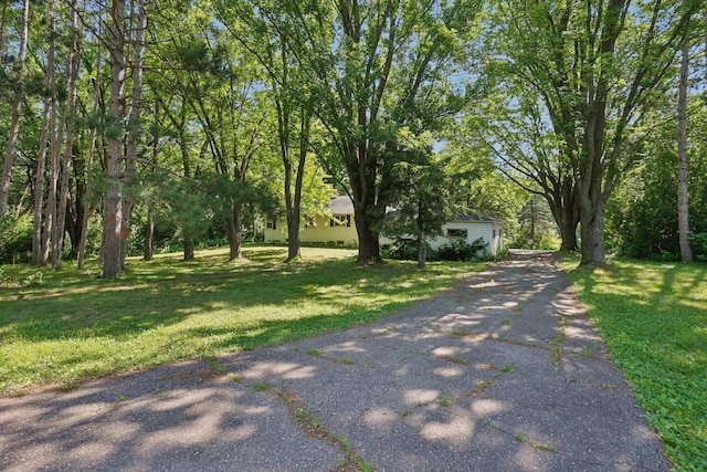 1430 Manning Ave S, Woodbury, MN 55129 - photo 26