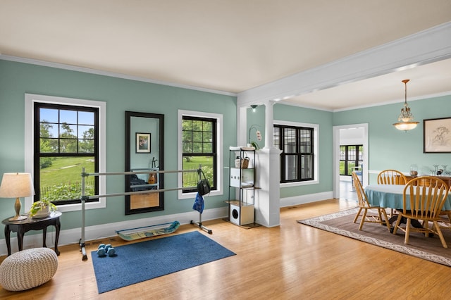 4255 County Road 11 NE, Alexandria, MN 56308 - workout room with ornamental molding, wood finished floors, and plenty of natural light