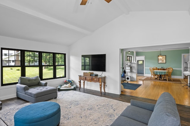4255 County Road 11 NE, Alexandria, MN 56308 - living room featuring beam ceiling, wood finished floors, high vaulted ceiling, and ceiling fan