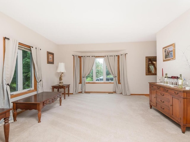 1632 Seashell Ln, Waconia, MN 55387 - living area with light carpet and baseboards