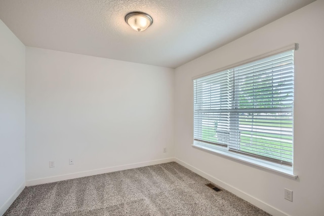 1221 136th St W, Rosemount, MN 55068 - empty room featuring light colored carpet and a textured ceiling