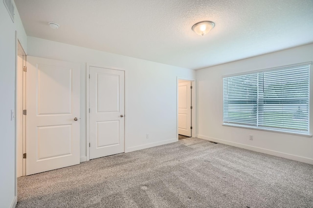 1221 136th St W, Rosemount, MN 55068 - unfurnished bedroom with carpet floors and a textured ceiling