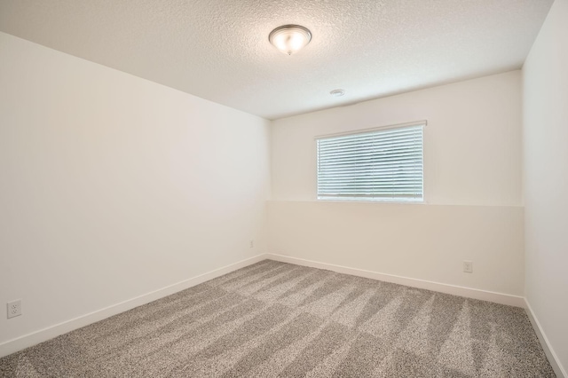 1221 136th St W, Rosemount, MN 55068 - unfurnished room with carpet flooring and a textured ceiling