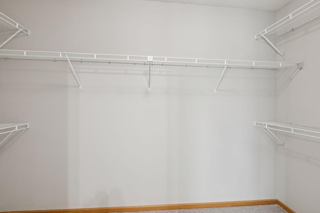 7829 Elm Grove Ln, New Hope, MN 55428 - spacious closet with carpet floors