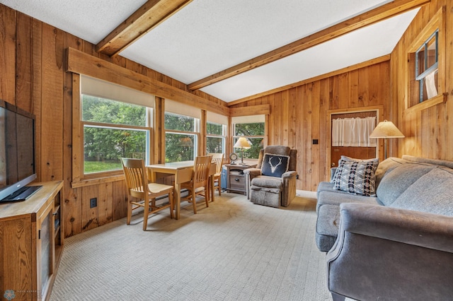 1330 12th St N, Fargo, ND 58102 - carpeted living area with wood walls and a textured ceiling