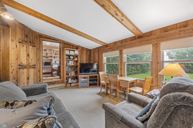 1330 12th St N, Fargo, ND 58102 - living area featuring wooden walls, carpet floors, and built in shelves