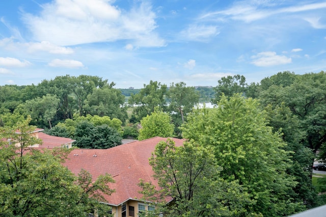 6615 Lake Shore Dr S Unit 803, Richfield, MN 55423 - bird's eye view