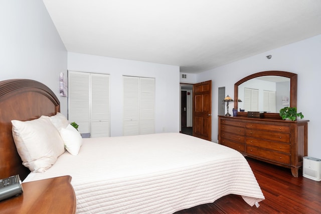 6615 Lake Shore Dr S Unit 803, Richfield, MN 55423 - bedroom with two closets and wood finished floors