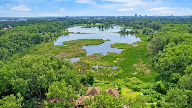 6615 Lake Shore Dr S Unit 803, Richfield, MN 55423 - drone / aerial view of a large body of water and a forest