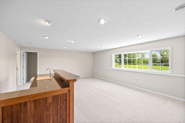 1215 Shore Dr SW, Hutchinson, MN 55350 - bar area with carpet and a textured ceiling