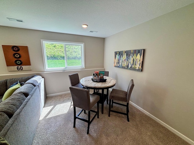 493 Mallard St NE, Hanover, MN 55341 - photo 18
