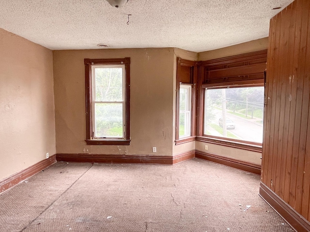 468 Minnehaha Ave E, Saint Paul, MN 55130 - carpeted spare room with a textured ceiling