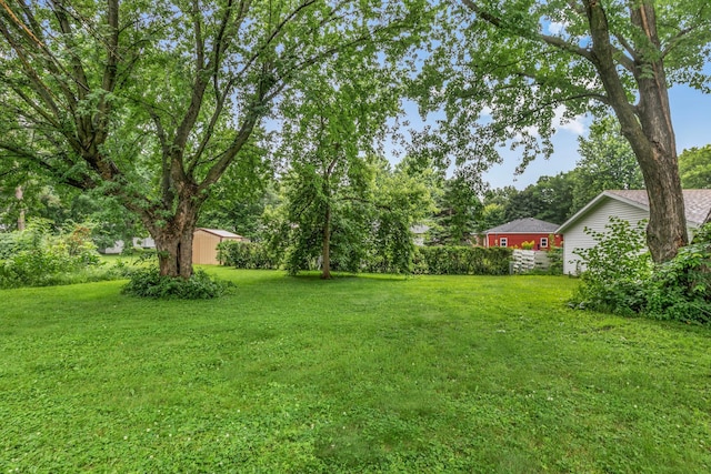 906 Holcombe Ave, Litchfield, MN 55355 - view of grassy yard
