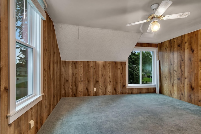 906 Holcombe Ave, Litchfield, MN 55355 - bonus room featuring wooden walls, carpet flooring, and a ceiling fan