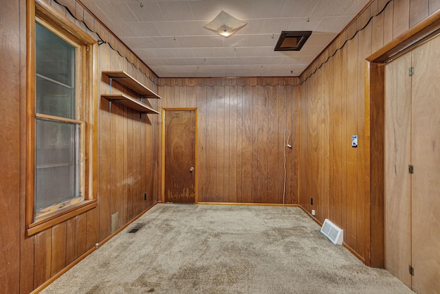 906 Holcombe Ave, Litchfield, MN 55355 - unfurnished room with carpet floors and wood walls
