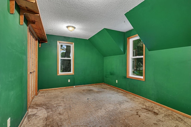 906 Holcombe Ave, Litchfield, MN 55355 - bonus room featuring carpet, vaulted ceiling, and a textured ceiling