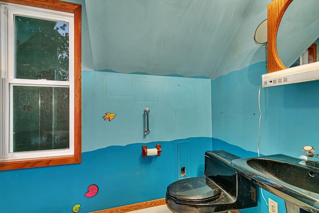 906 Holcombe Ave, Litchfield, MN 55355 - half bathroom with lofted ceiling and vanity