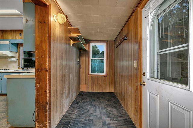 906 Holcombe Ave, Litchfield, MN 55355 - doorway to outside featuring wood walls and dark carpet